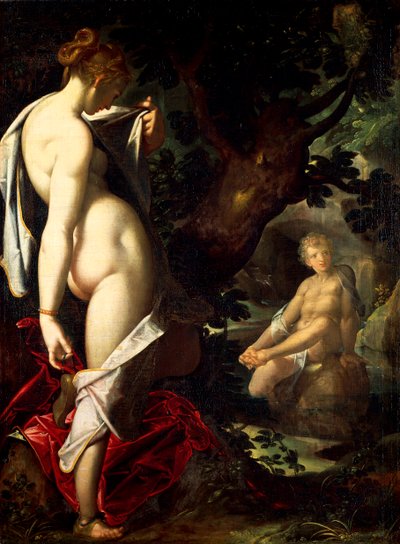 Ermafrodito e Salmace da Bartholomaeus Spranger