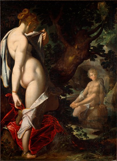 La naiade Salmace ammira Ermafrodito che si bagna in una sorgente da Bartholomaeus Spranger