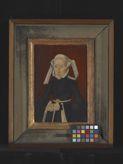 Ritratto di una signora da Bartholomaeus the Elder Bruyn