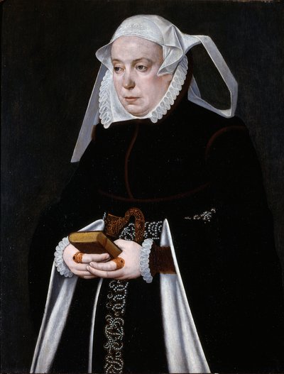 Ritratto di donna, 1560-70 circa (olio su tavola) da Bartholomaus the Younger Bruyn