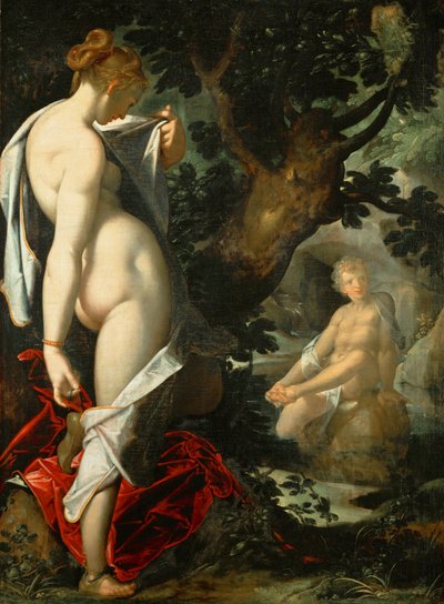 Tedesco: Hermaphroditus und die Nymphe Salmacis Hermaphroditus e la ninfa Salmacis da Bartholomeus Spranger