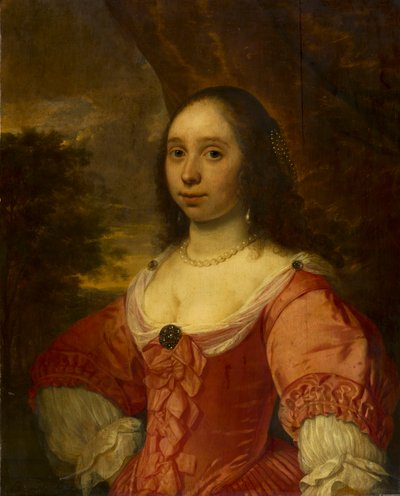 Ritratto di signora da Bartholomeus van der Helst