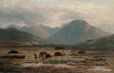 Torbiere, Letterfrack, Connemara da Bartholomew Colles Watkins