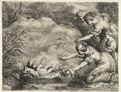Mosè salvato dal Nilo da Bartolomeo Biscaino