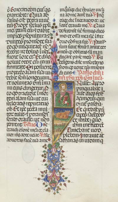 Messale: Fol. 131: San Luca con Toro, 1469 da Bartolomeo Caporali