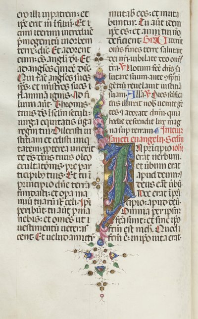 Messale: Fol. 22v: Foliage con pesci, 1469 da Bartolomeo Caporali