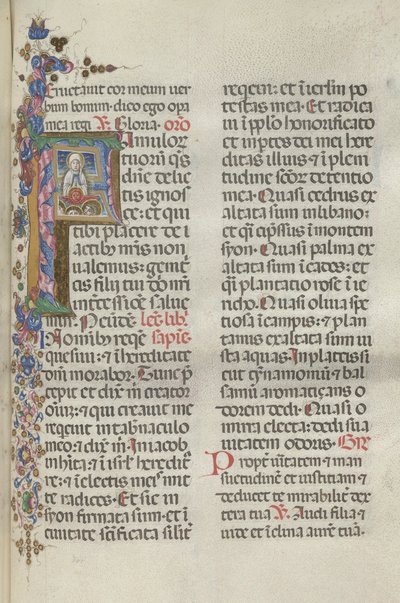 Missale: Fol. 306: Assunzione della Vergine da Bartolomeo Caporali