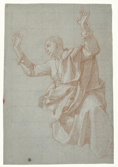 Studio di un giovane da Bartolomeo Cesi