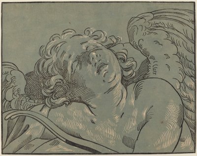 Cupido addormentato da Bartolomeo Coriolano after Guido Reni