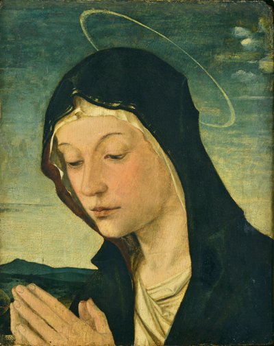 Testa e mani di una Madonna adorante (frammento), 1477-78 circa (tempera su legno di pioppo) da Bartolomeo Montagna