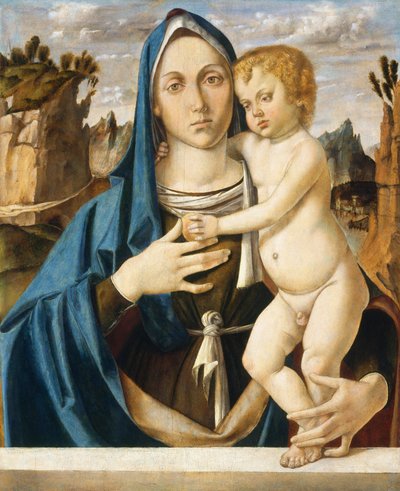 Madonna con il Bambino da Bartolomeo Montagna