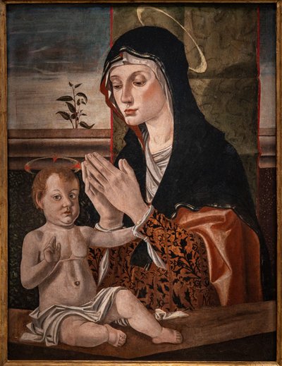 Madonna con Gesù bambino da Bartolomeo Montagna
