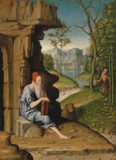 San Girolamo nel deserto da Bartolomeo Montagna