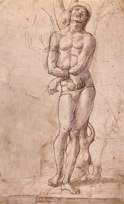 San Sebastiano, ca 1475, disegno di Bartolomeo Montagna, penna e inchiostro marrone, con lavaggio marrone, cm 20x15, Italia da Bartolomeo Montagna