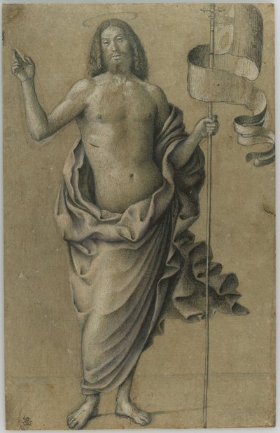 Il Cristo risorto da Bartolomeo Montagna