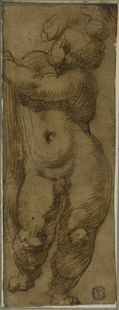 Putto in piedi visto di fronte: studio per la Vergine in gloria con i santi Petronio, Domenico e Pietro Martire da Bartolomeo Passarotti