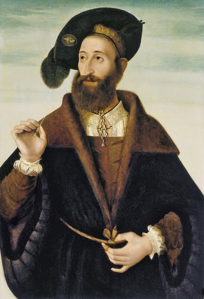Ritratto di un uomo da Bartolomeo Veneto