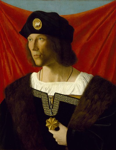 Ritratto di un gentiluomo da Bartolomeo Veneto