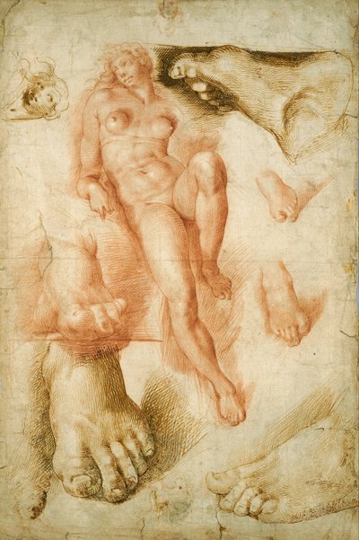Copia dell