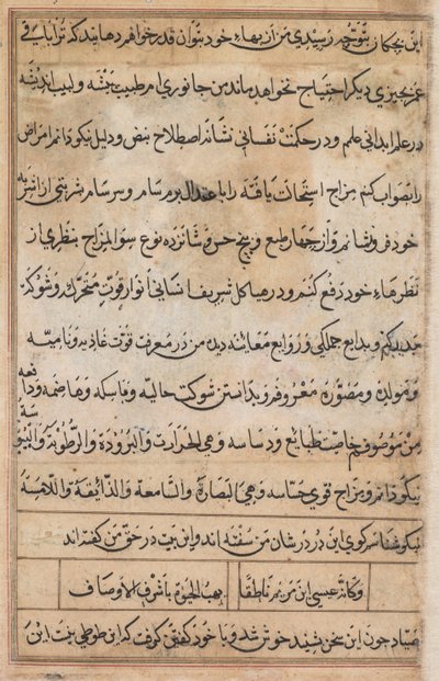 Pagina da Tales of a Parrot Tuti-nama: pagina di testo da Basavana