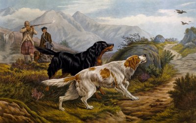 Caccia alla pernice da Basil Bradley