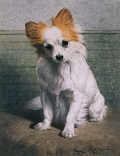 Cane Giocattolo da Basil J. Nightingale