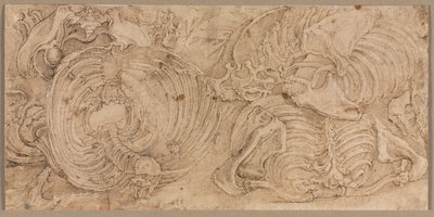 Gabbie toraciche, primi anni 1540 da Battista Franco