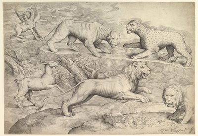 Sei animali, tra cui leoni, una tigre, un leopardo, un grifone e una capra, ca. 1530-61 da Battista Franco Veneziano