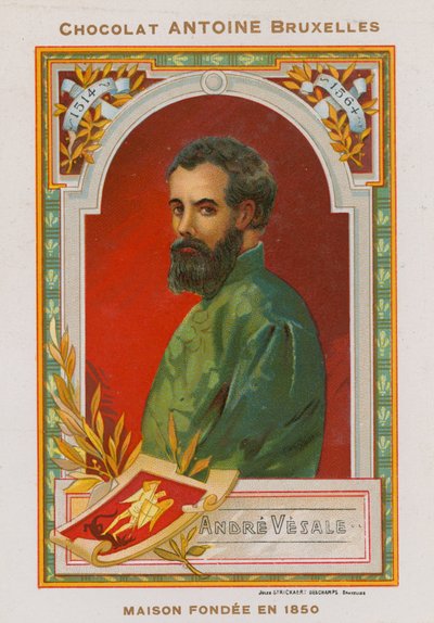 Andres Vesalius, anatomista e medico fiammingo del XVI secolo da Belgian School