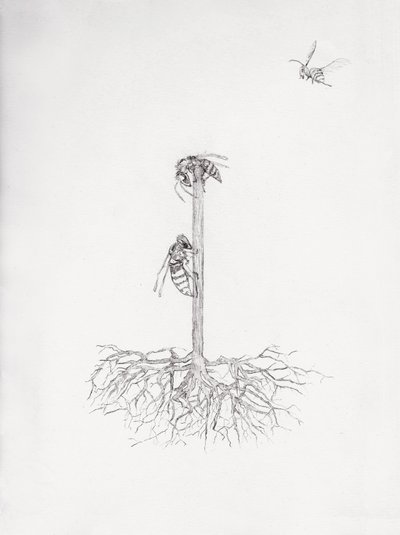 Albero di Vespe da Bella Larsson