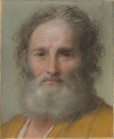 Testa di un Uomo Barbuto da Benedetto Luti