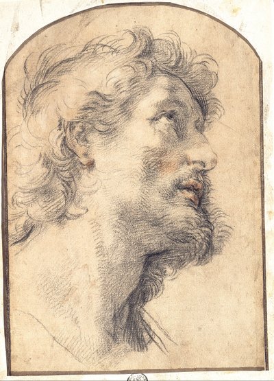 Studio della testa di San Crispino da Benedetto Luti