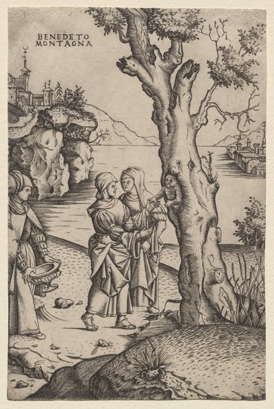 Nascita di Adone (dalla serie: Le Metamorfosi) da Benedetto Montagna
