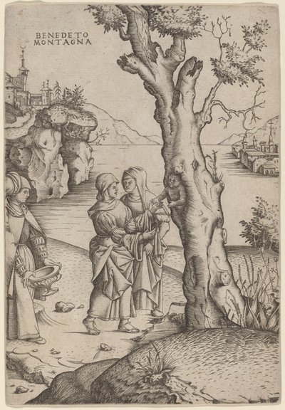 Nascita di Adone da Benedetto Montagna