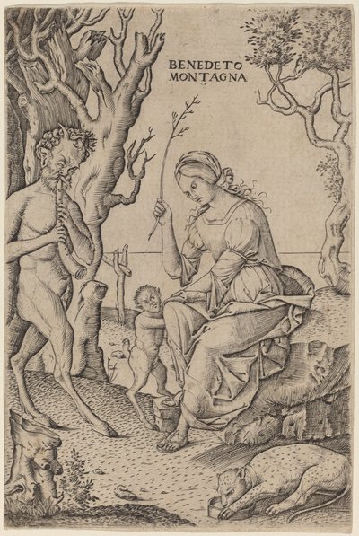 Famiglia di satiri da Benedetto Montagna
