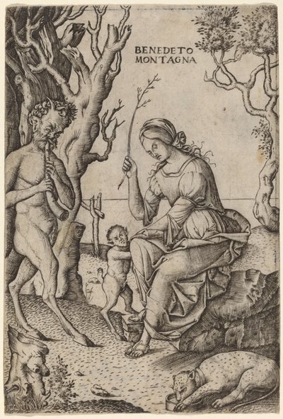 Famiglia di satiri da Benedetto Montagna