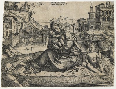 La Sacra Famiglia con il Bambino San Giovanni in un Paesaggio, c. 1506-1512 da Benedetto Montagna