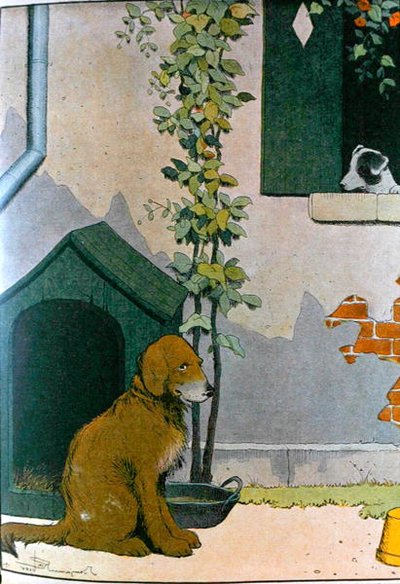 Cane, illustrazione da 