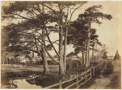 Abeti Scozzesi, Hawkhurst da Benjamin Brecknell Turner