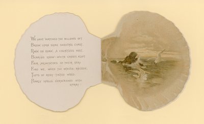 Illustrazione per opuscolo intitolato Conchiglie di mare da Benjamin D. Sigmund