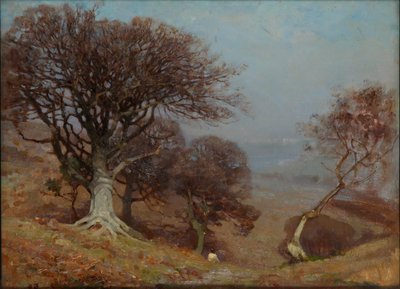 Faggi sui Quantocks, 1885-1924 da Benjamin Haughton