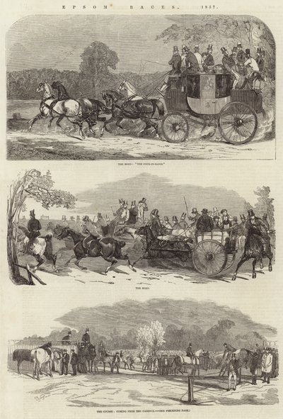 Corse di Epsom da Benjamin Herring