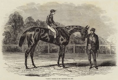 Nancy, vincitrice della Goodwood Cup, 1851 da Benjamin Herring