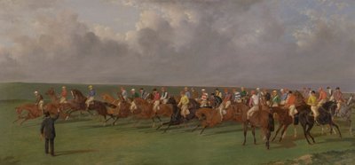 Sete e rasi del turf da Benjamin Herring