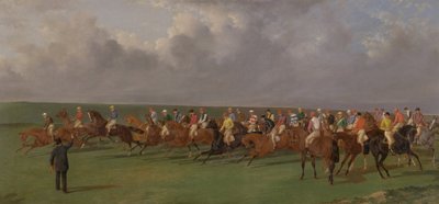 Sete e rasi del turf da Benjamin Herring