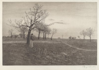 Dopo il bagliore da Benjamin Lander