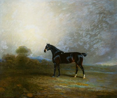 Bembo, un cacciatore preferito di Charles Shuttleworth, Esq. da Benjamin Marshall