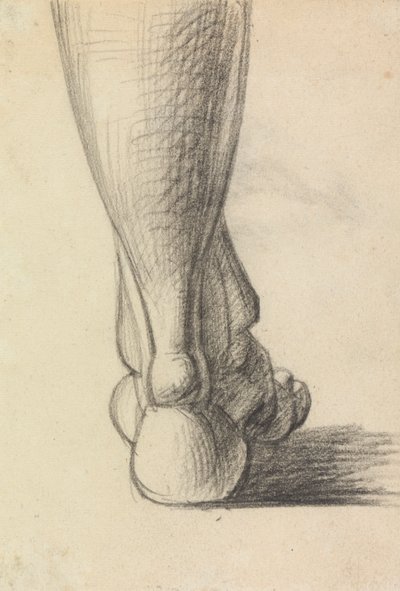 Studio anatomico del tallone di un piede da Benjamin Robert Haydon