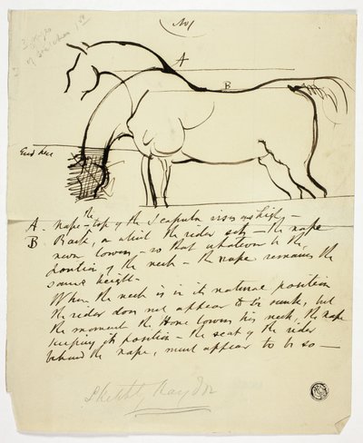 Schizzo di cavallo con annotazioni da Benjamin Robert Haydon