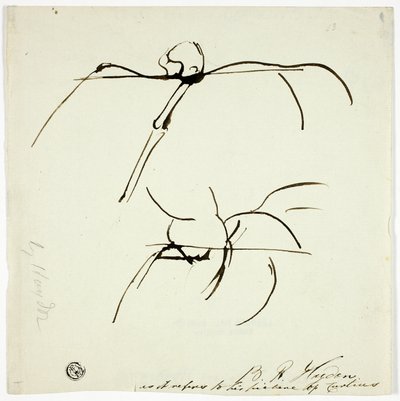 Schizzi relativi al dipinto di Marcus Curtis da Benjamin Robert Haydon